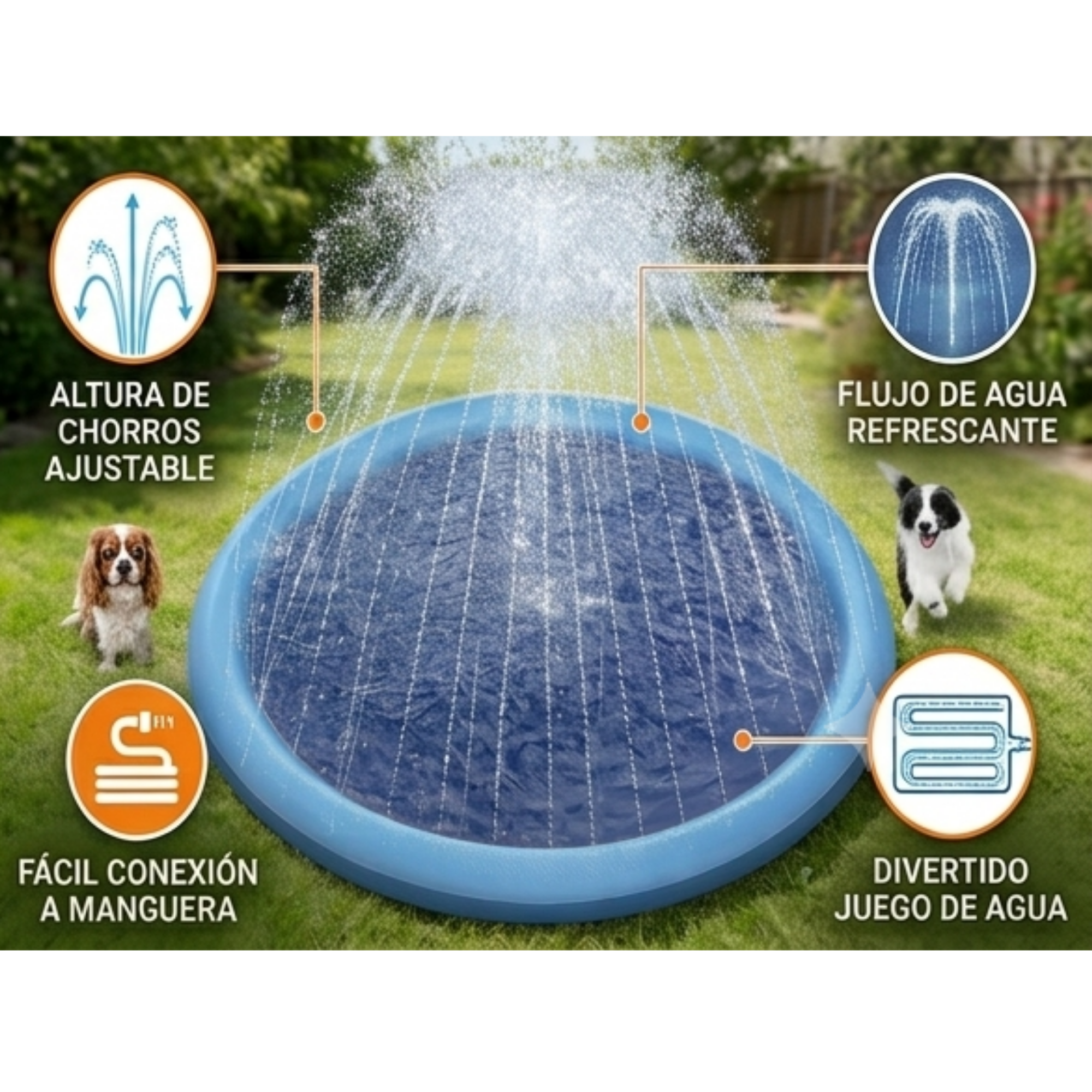 Piscina refrescante para perros con fuente de agua | Diversión y bienestar en verano