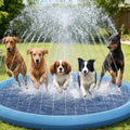 Piscina refrescante para perros con fuente de agua | Diversión y bienestar en verano