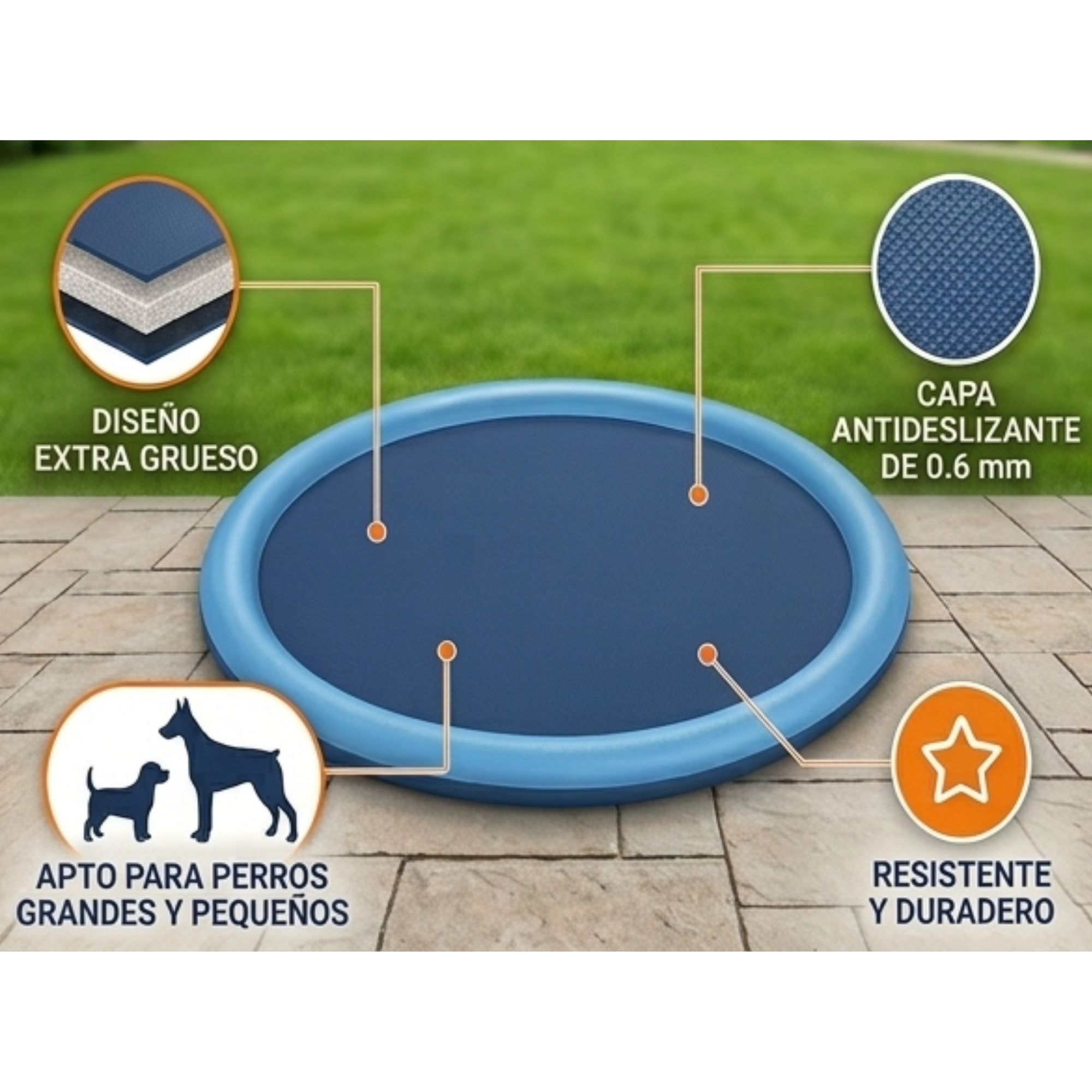 Piscina refrescante para perros con fuente de agua | Diversión y bienestar en verano